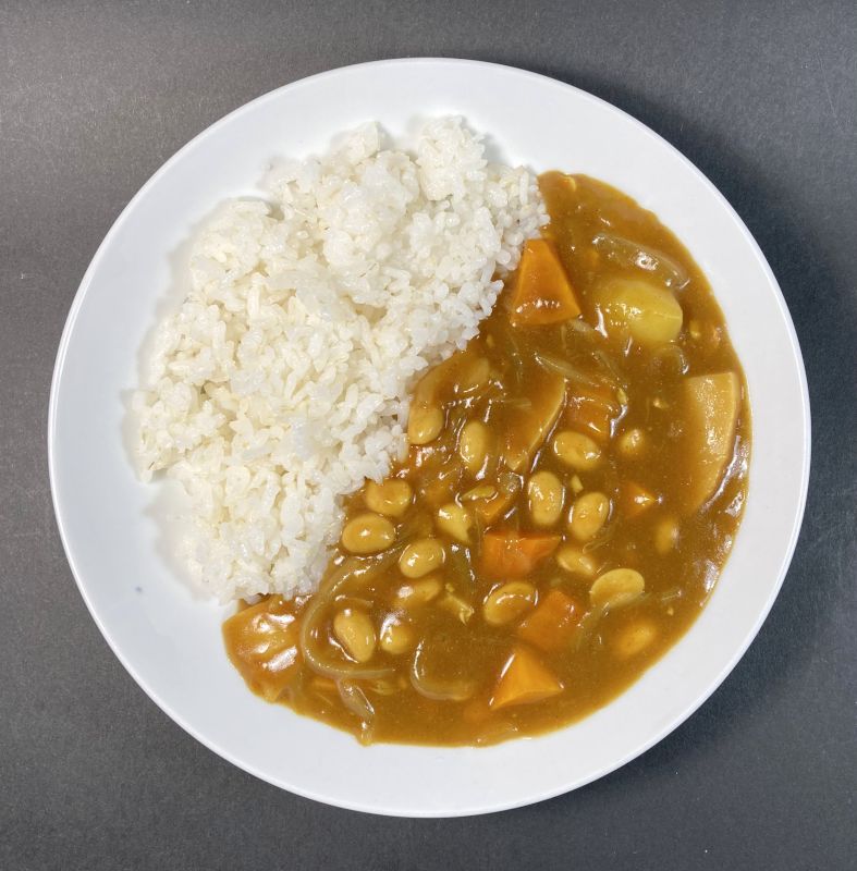 植物素材で作ったカレー