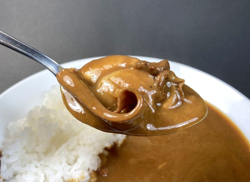 (有)高島食品 海祭り 大漁カレー 中辛の具材紹介